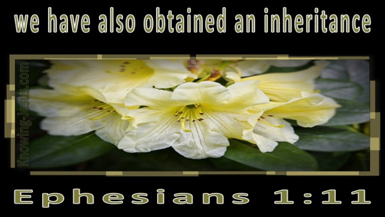 Ephesians 1:11 In Whom We Gained An Inheritance (yellow)